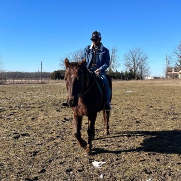 Meet your Posher, Jaylen - Picture 1 of 1